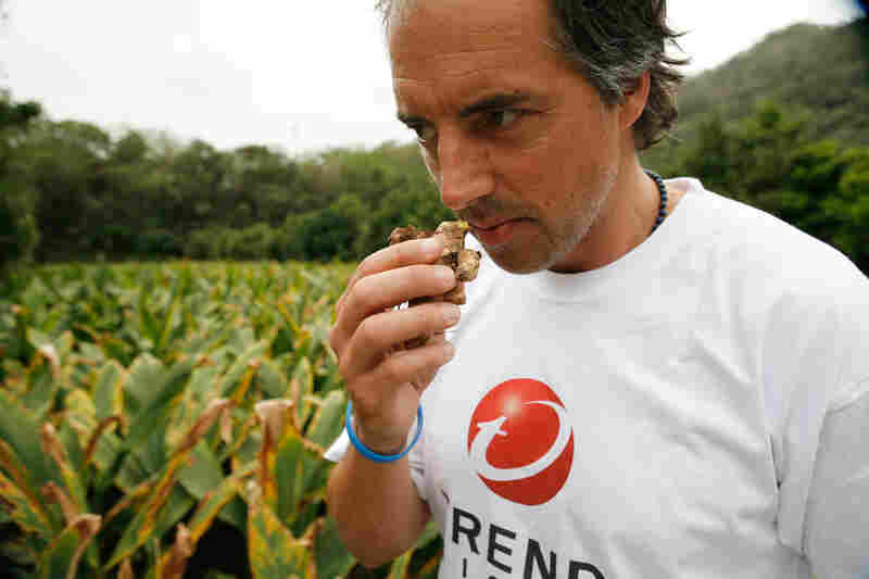 Author and National Geographic explorer Dan Buettner sniffs ginger's golden cousin, turmeric, which figures prominently in the Okinawa diet as both a spice and a tea.