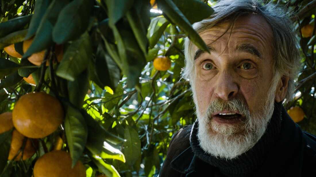 'Tangerines' Enemies On Neutral Territory In A Time Of War NPR