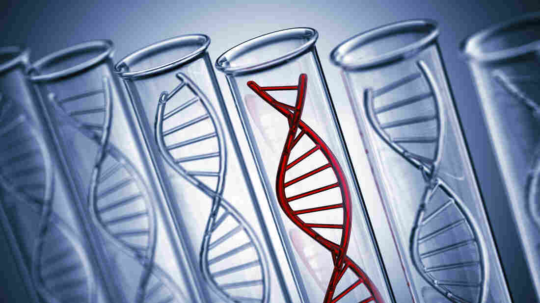 Double helix in tubes.