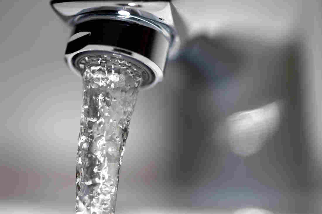Tap water running from the sink.