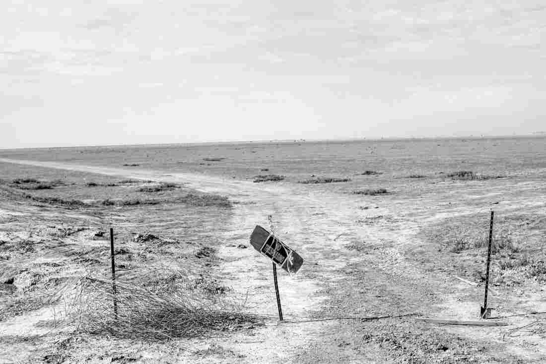 A dry pasture near Alpaugh, Calif.
