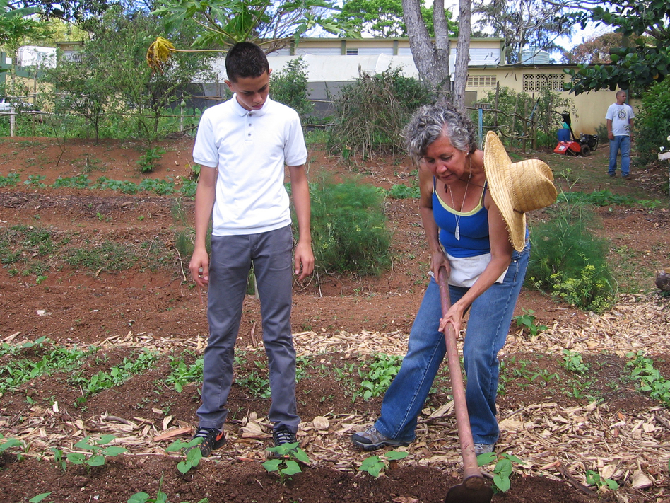 Dalma Cartagena teaches a class on agricultural science to elementary-school students in Orocovis, Puerto Rico. "I'm preparing them to make good decisions when it comes to the environment and healthy foods," she says. (Greg Allen/NPR)