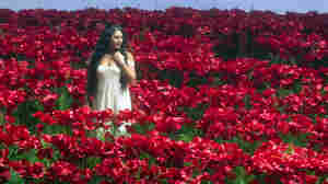 Flower Songs: A Springtime Opera Puzzler