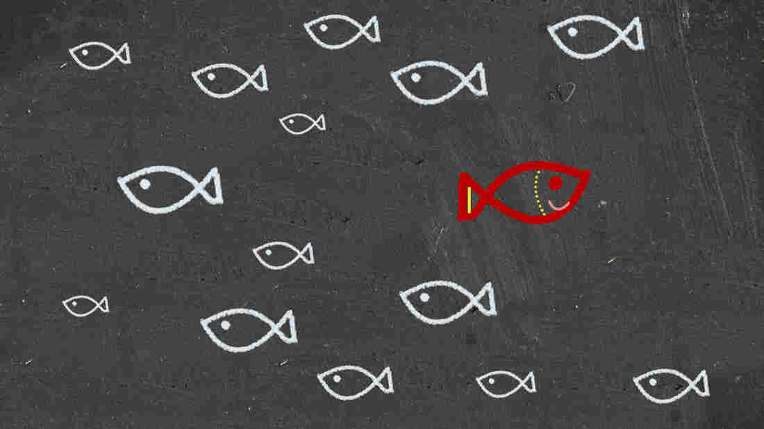 Fish going its own way.