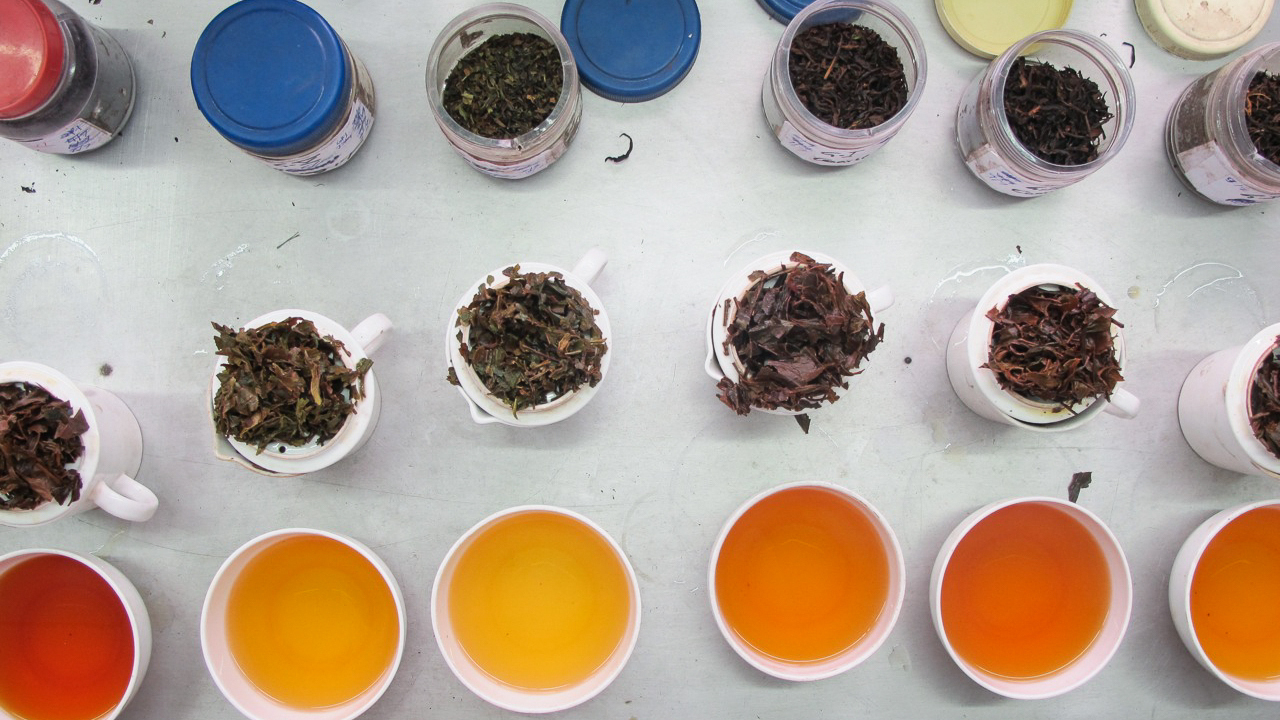 Sip It Slowly, And Other Lessons From The Oldest Tea Book In The World The Salt NPR