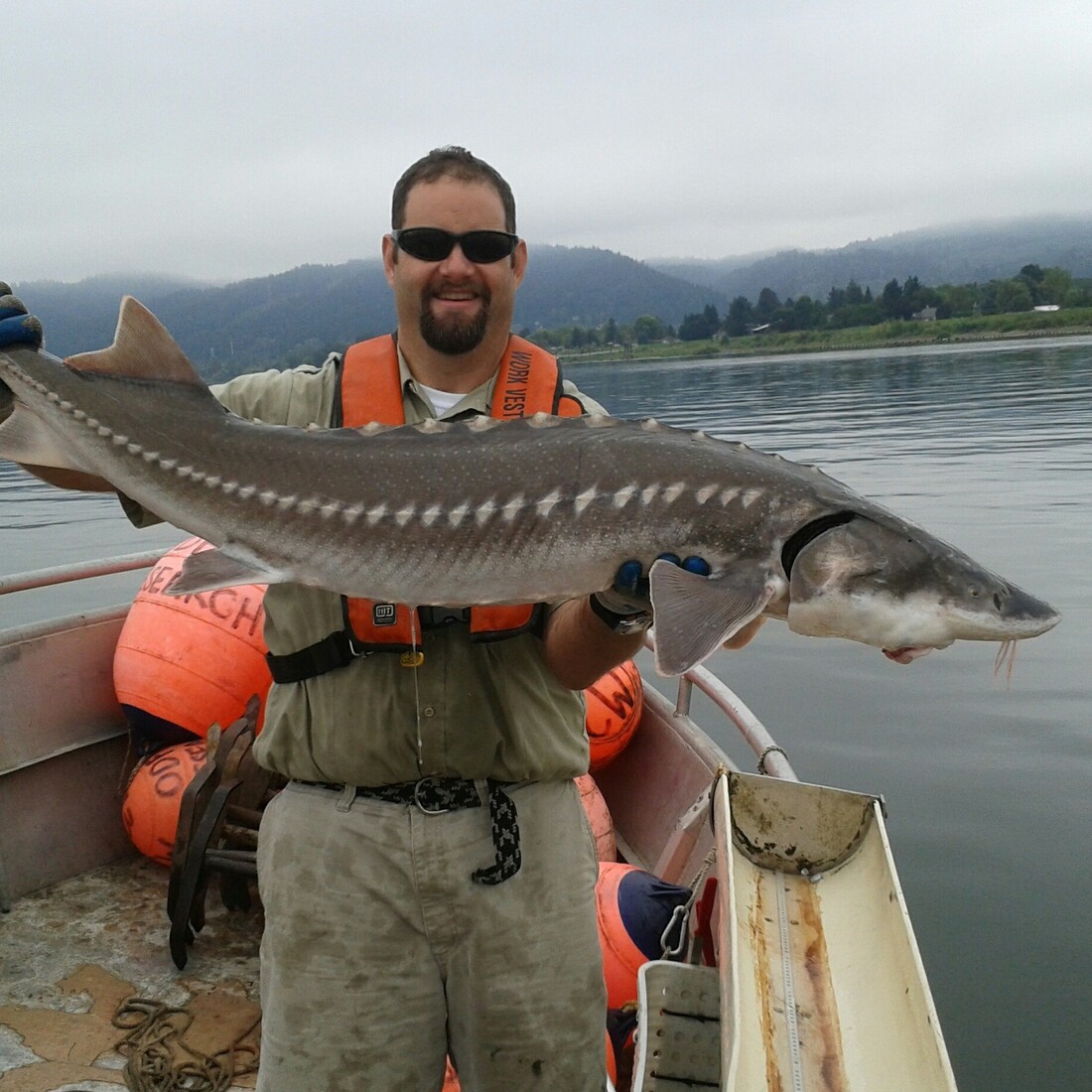 Volunteer Rangers Work To Rein In Antler Poachers NPR
