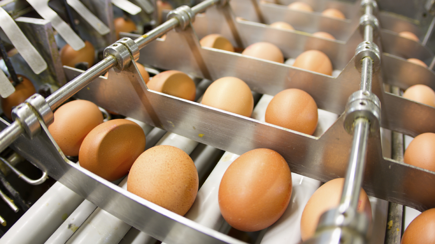 eggs npr