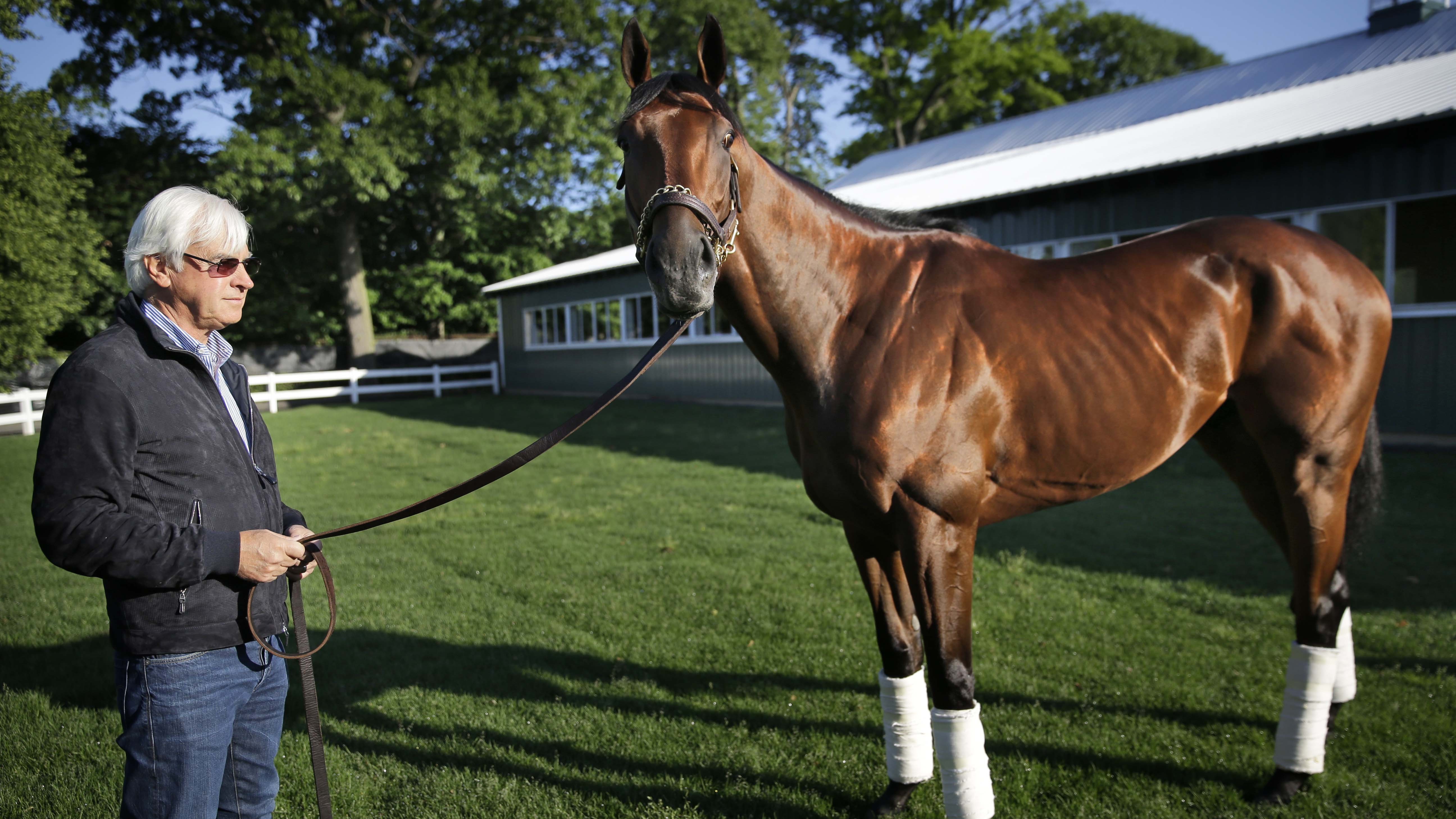 Thousands who bet on American Pharoah are keeping the tickets