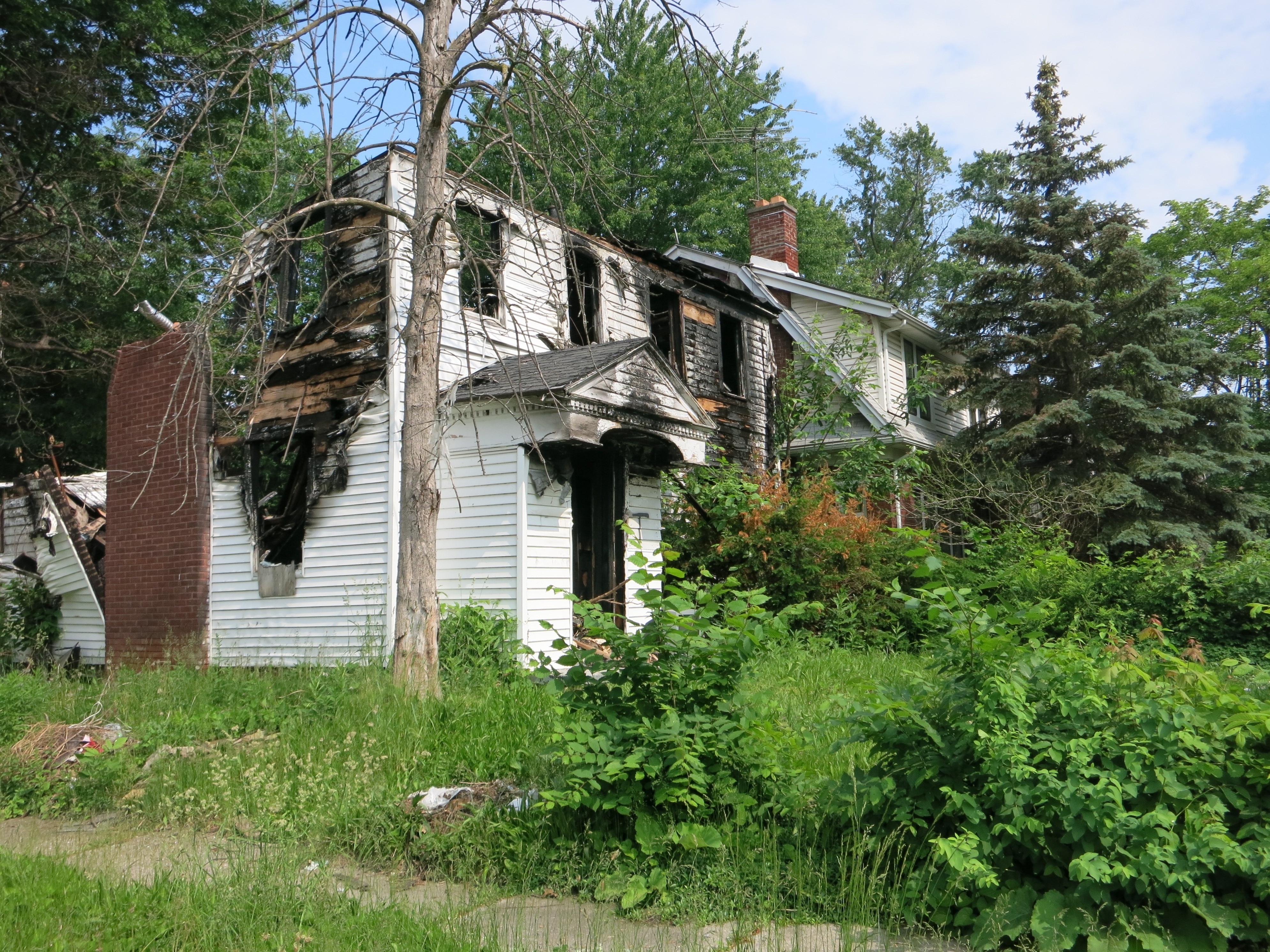 For Sale Detroit Land Bank Seeks Buyers For Vacant Houses NCPR News