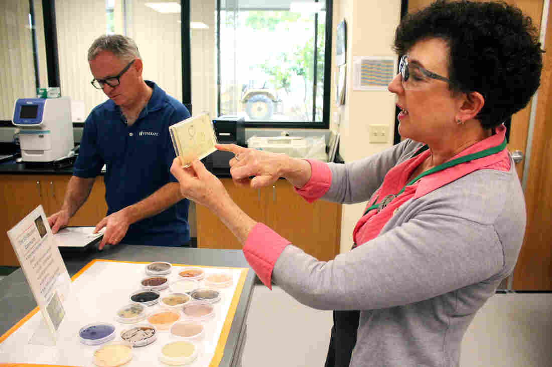 Pam Marrone (right), founder and CEO of Marrone Bio Innovations, inspects some colonies of microbes. Marrone has spent most of her professional life prospecting for microbial pesticides and bringing them to market.