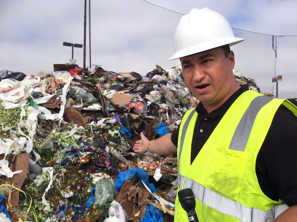 Cesar Zuniga, operations manager at the Salinas Valley municipal dump in California, points to salad greens that still have two weeks before their sell-by date. "Some loads ... look very fresh," Zuniga says. "We question, wow, why is this being tossed?" (Allison Aubrey/NPR)
