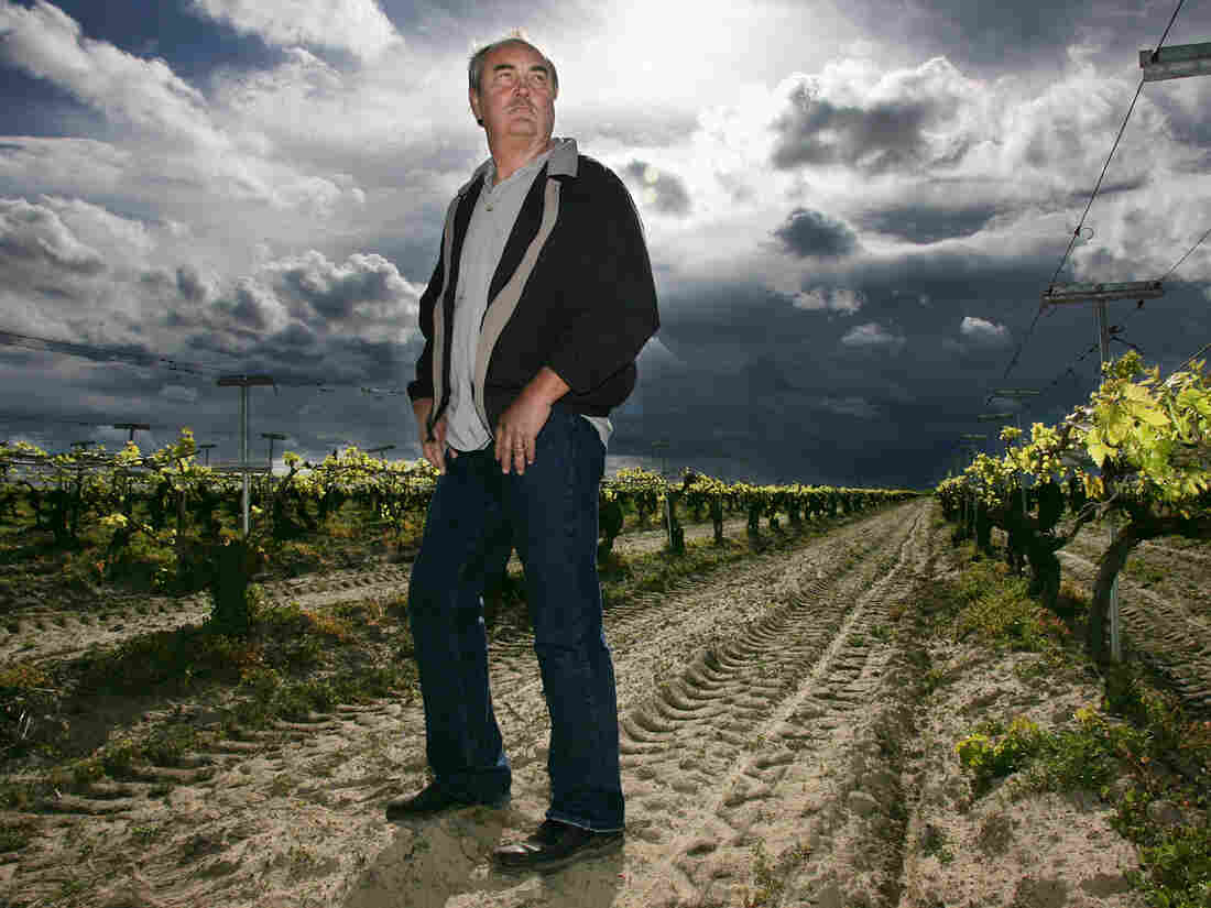 Raisin outlaw, Marvin Horne stands in a field of grapevines next to his home.
