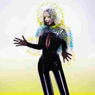 Vulnicura by Bjork
