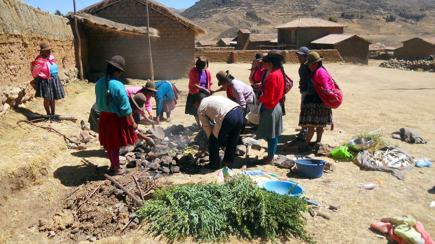Peru's Pitmasters Bury Their Meat In The Earth, Inca-Style : The Salt : NPR