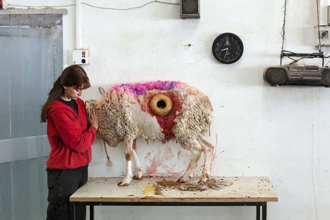 This untitled image by artist Martin Kollar, depicting a sheep with a hole in its stomach, is part of This Place, a photography exhibit now showing at the Tel Aviv Museum of Art.
