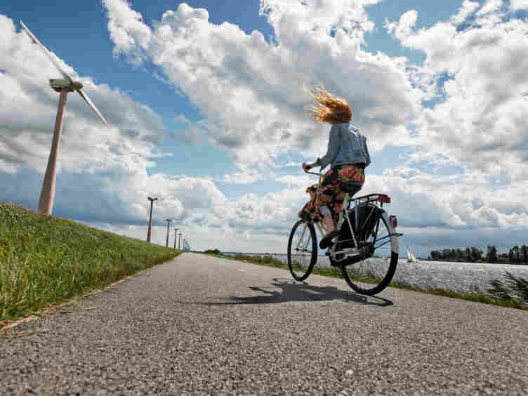 Bicycles are less scientifically understood than one might imagine.