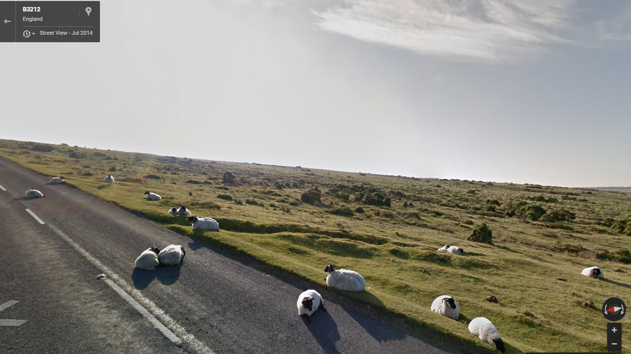 These sheep in England chose an ill-advised napping spot as the Google Street View van drove through town. (Google)