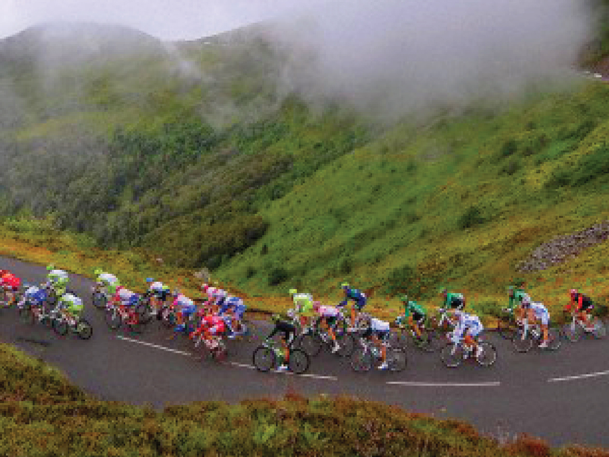 Winning is for losers: The great stories of the guys who finish last