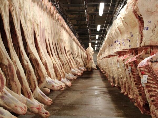 Beef carcasses hang in the sales cooler at the JBS beef plant in Greeley, Colo.