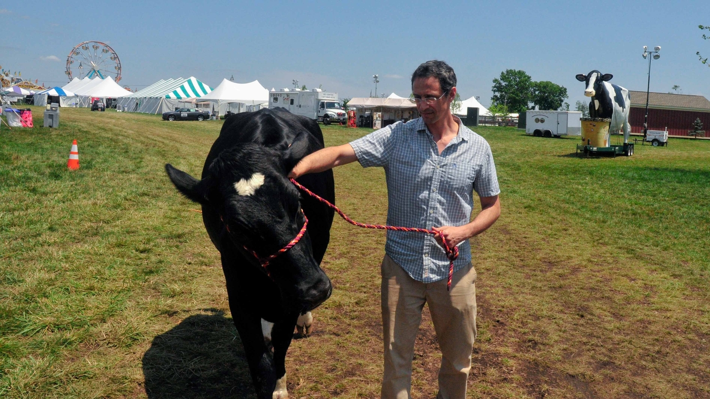 How Much Does This Cow Weigh? Money NPR