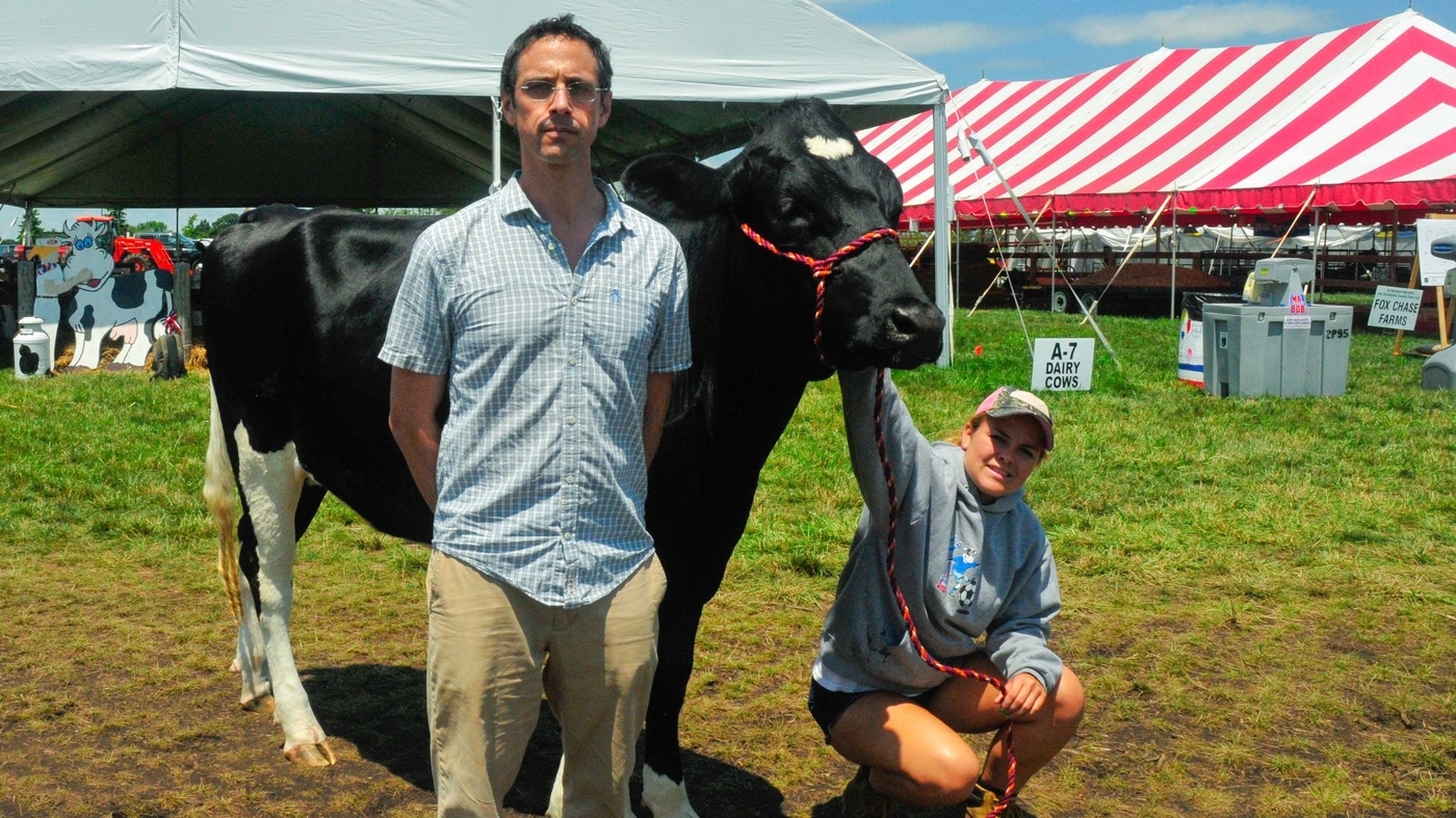 How Much Does This Cow Weigh? : Planet Money : NPR