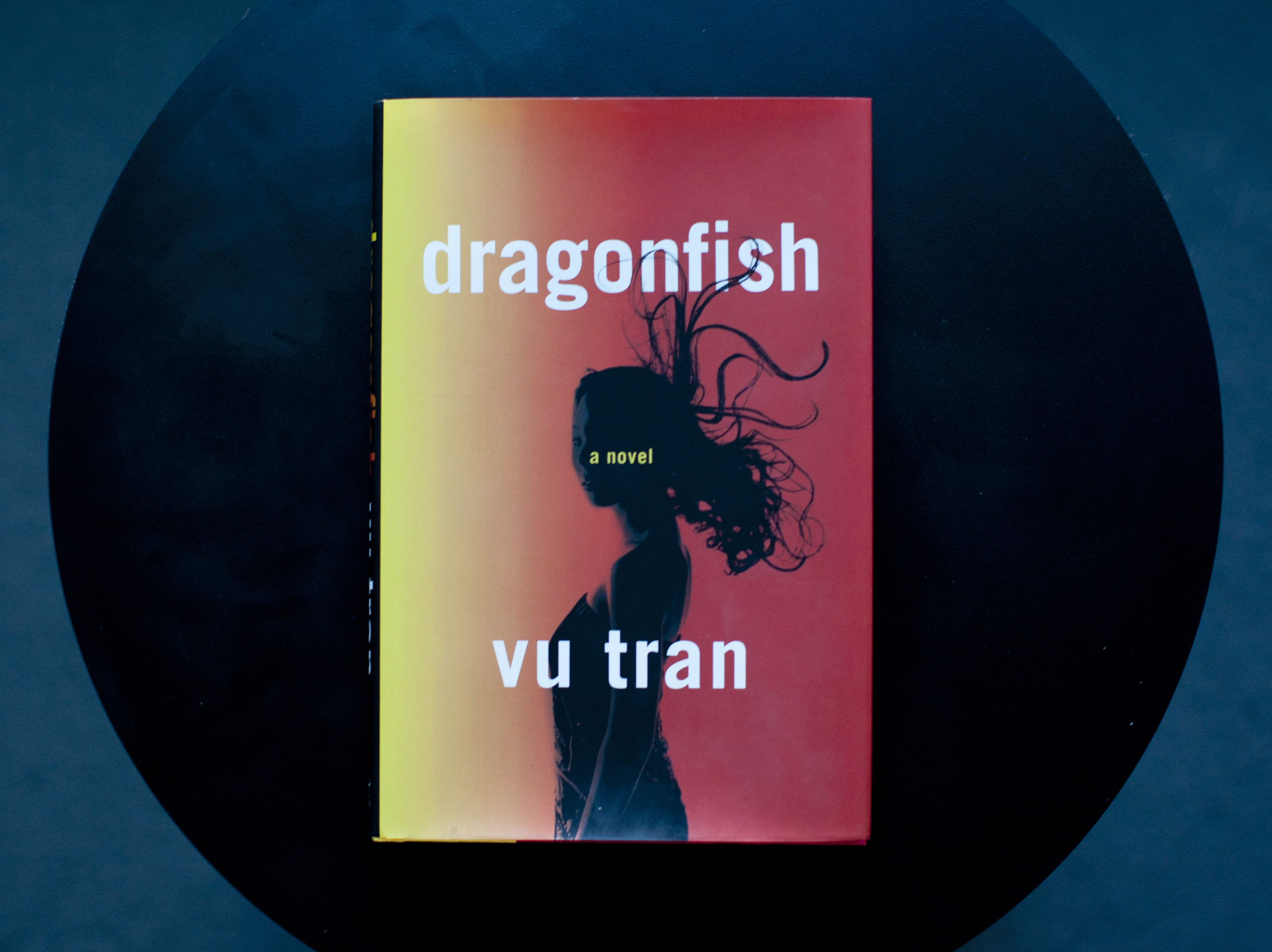 Things left unspoken haunt hard-hitting 'Dragonfish'