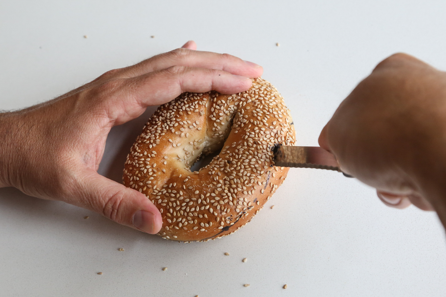 Cut Your Bagel The Mathematically Correct Way NCPR News