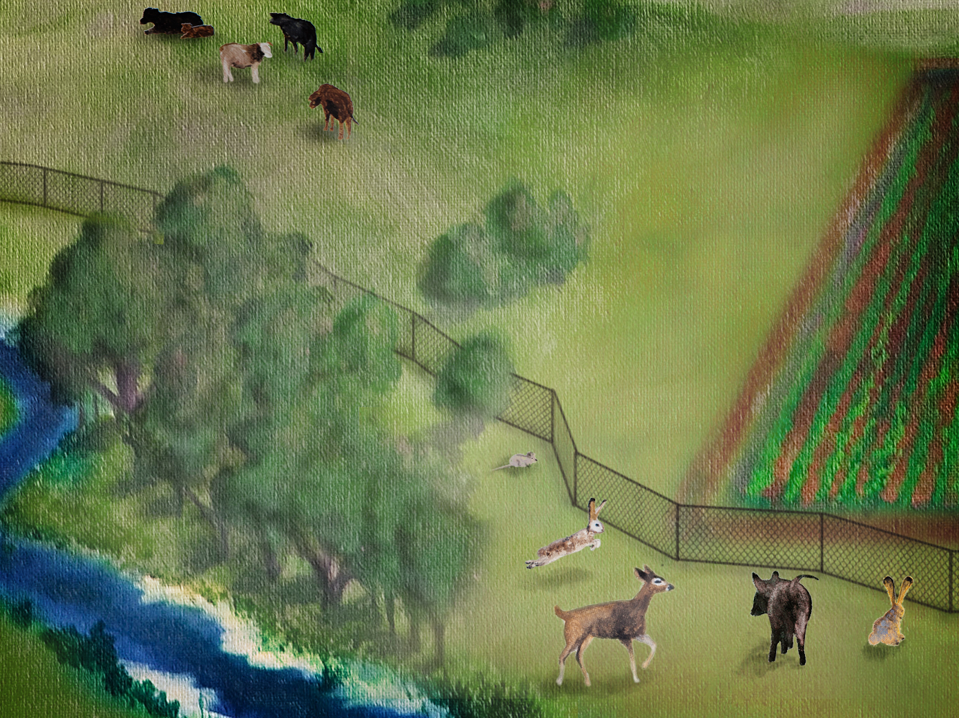 Don't fear the wild animals, researchers tell salad-makers