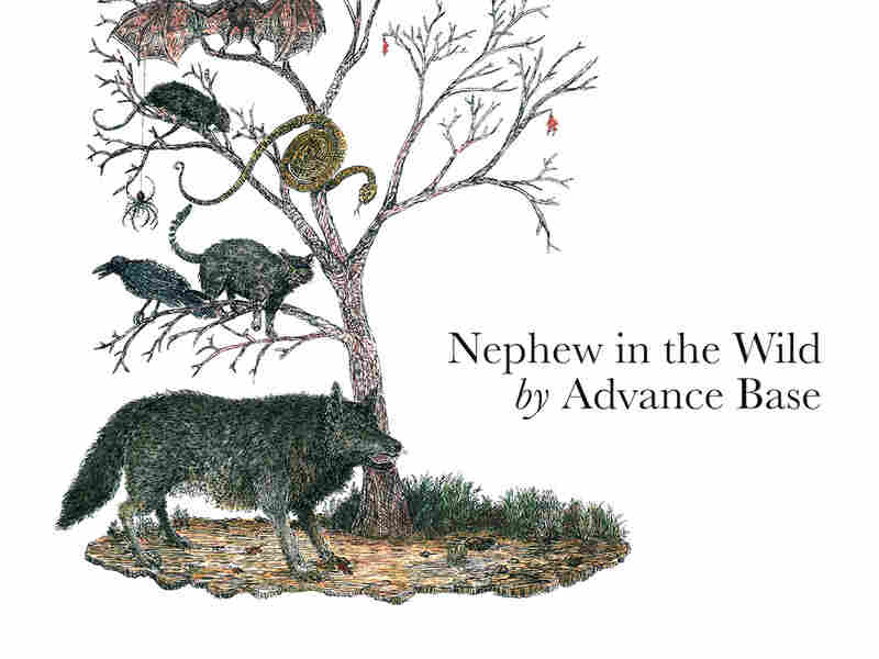 Cover art for "Nephew In The Wild"
