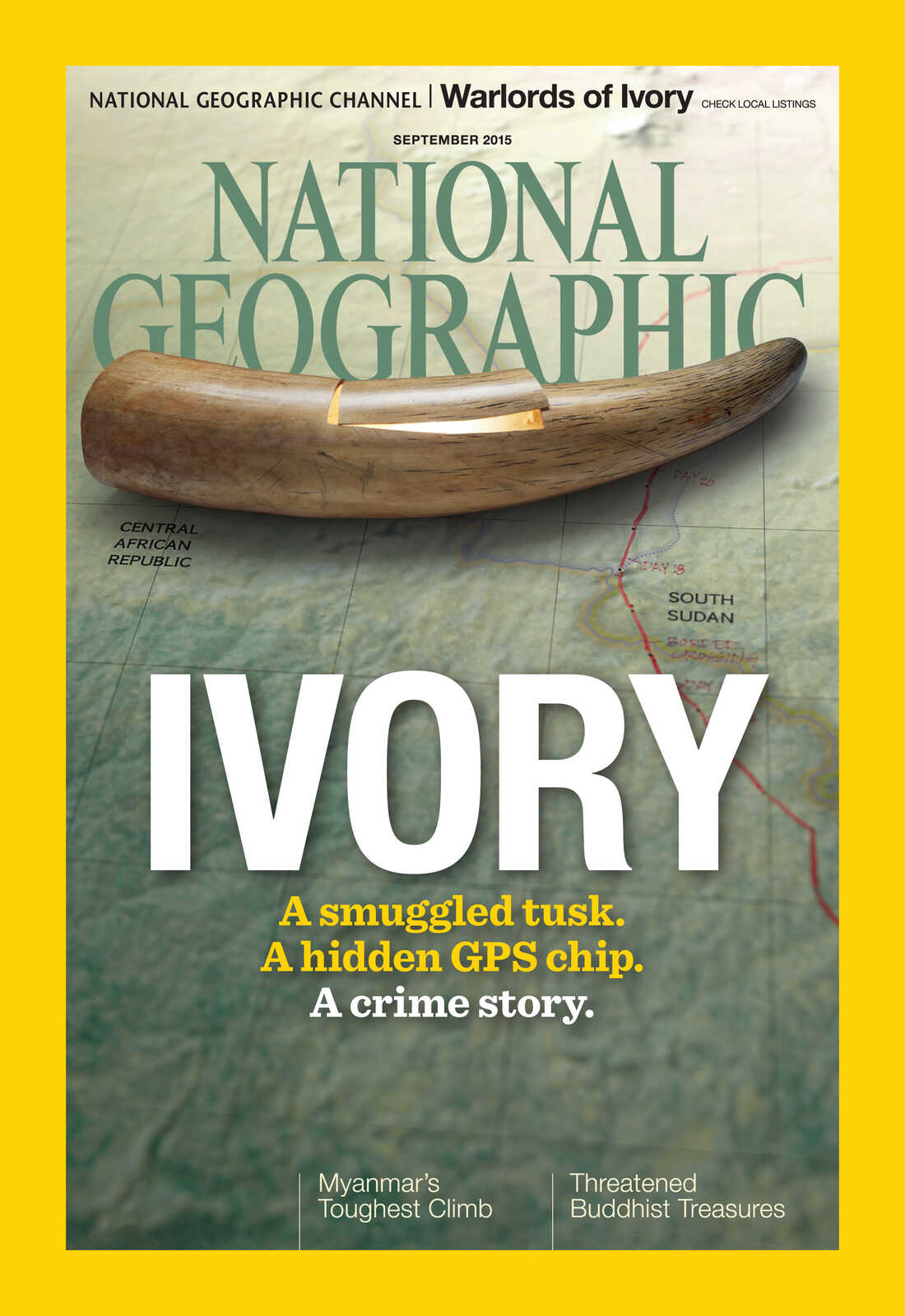 GPS Trackers In Fake Elephant Tusks Reveal Ivory Smuggling Route