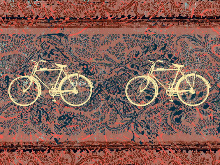 Bicycling In India Has Its Risks (Cow Ahead!) And Its Rewards