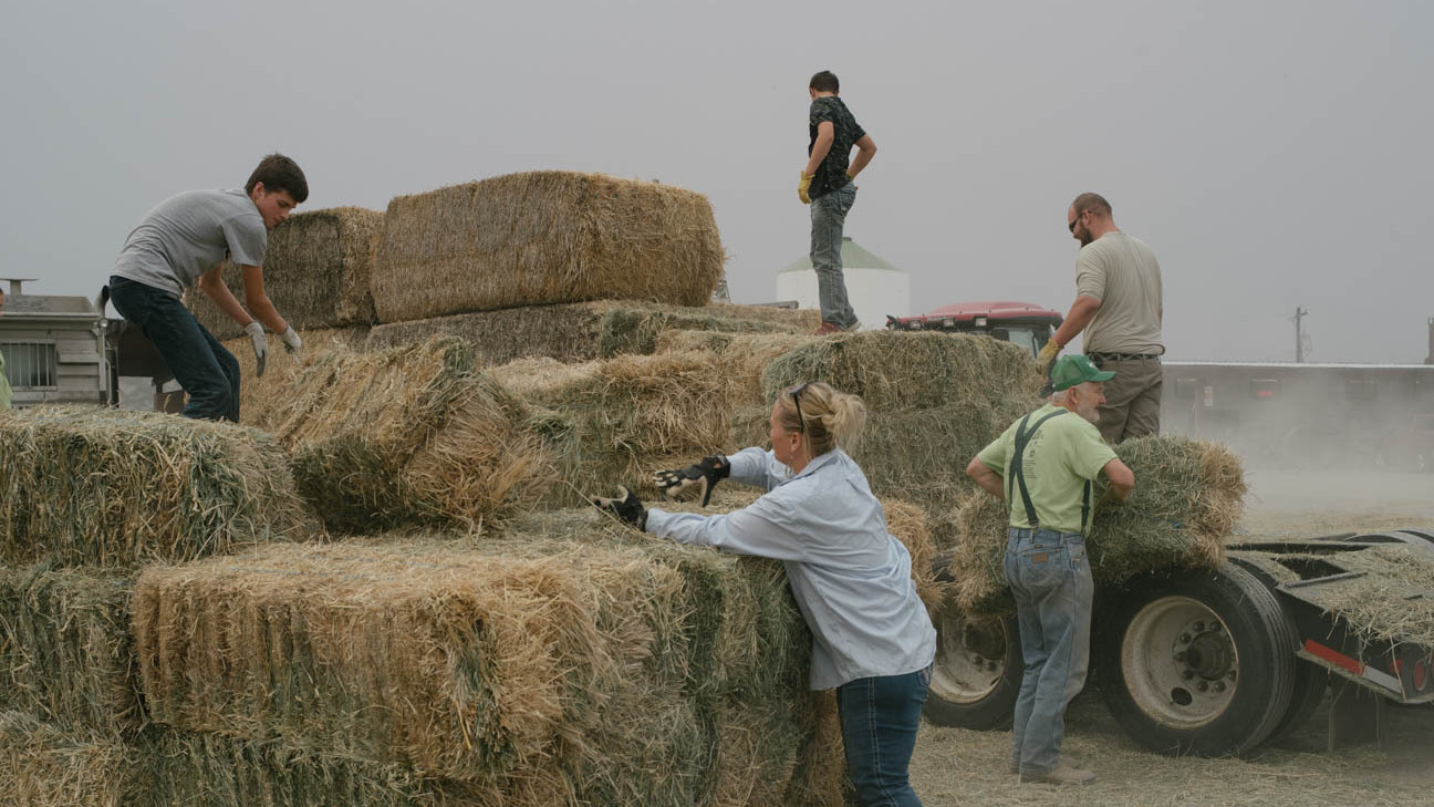 Washington Beef Ranchers In A Remote Part Of Washington, A Scramble To Save Cattle From Flames ...