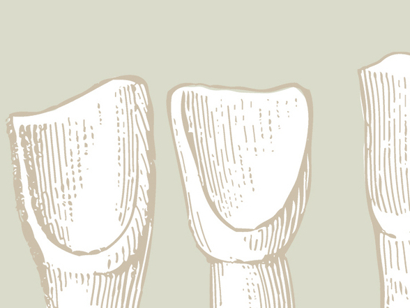 'Story of My Teeth' covers art, identity and dental adventures