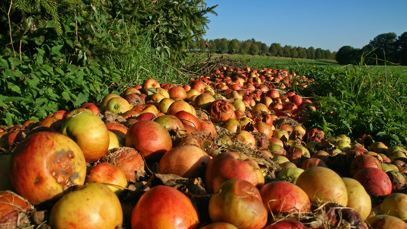 Fruit Production For The Home Gardener Fruit Production For The Home Gardener