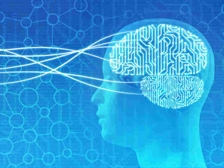 Would you opt to preserve your brain after death?