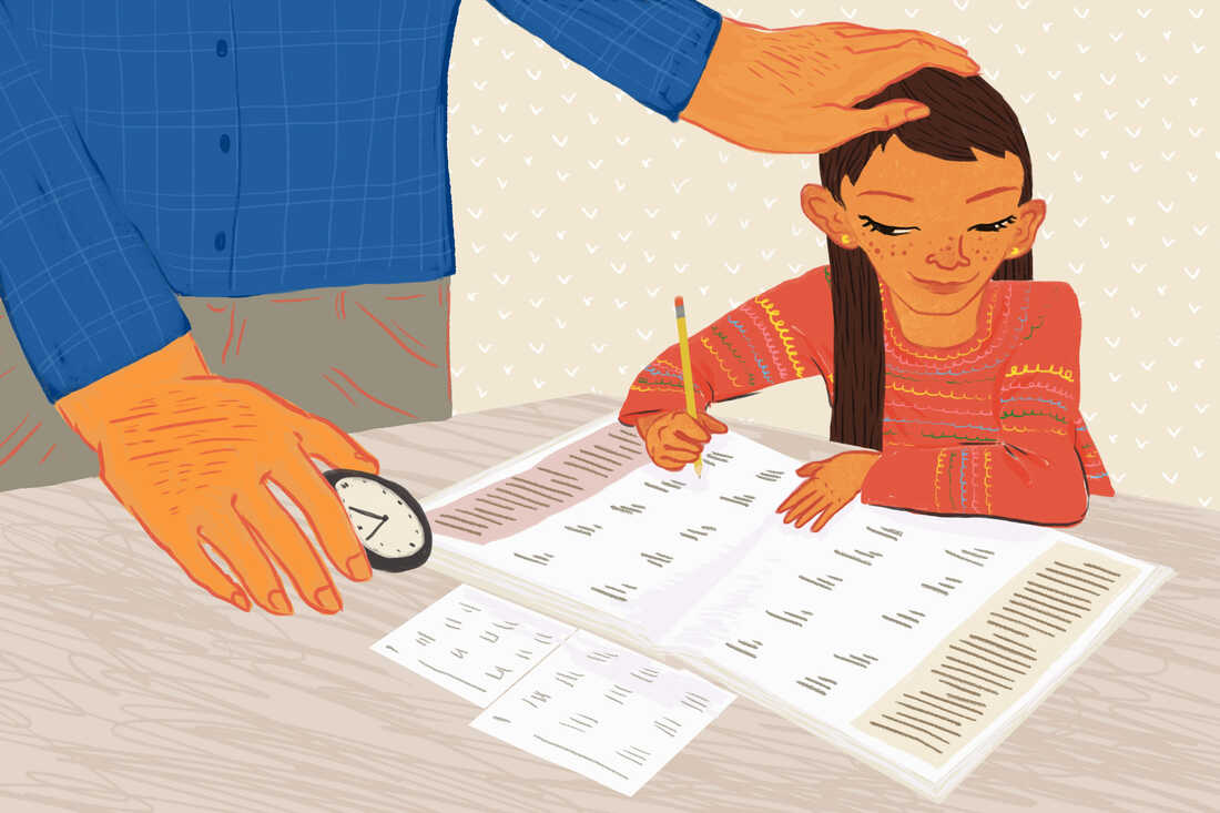 Homework: A New User's Guide : NPR Ed : NPR