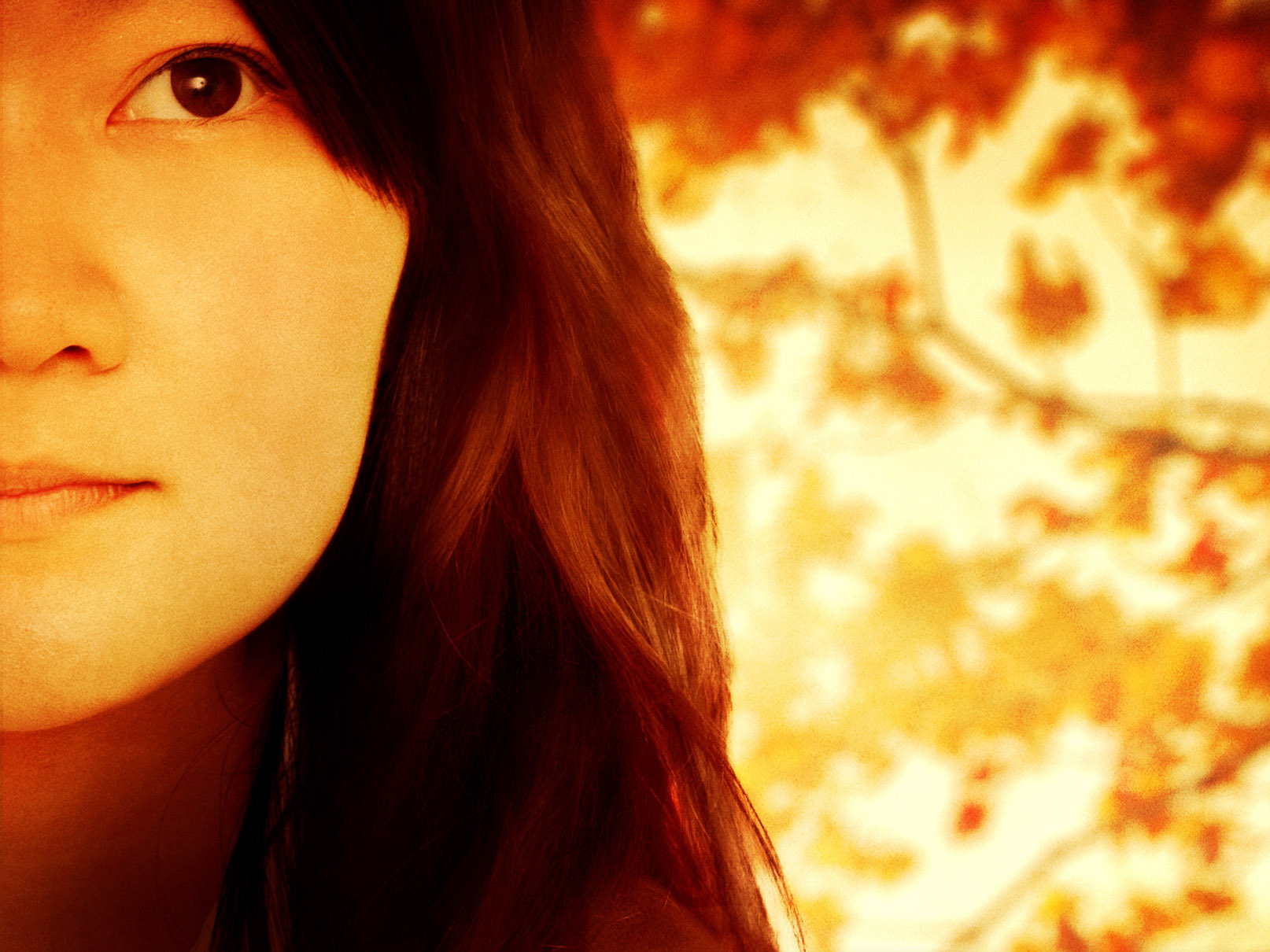 'Girl Who Wrote Loneliness' tells an almost-true tale with the tenor of a ghost story