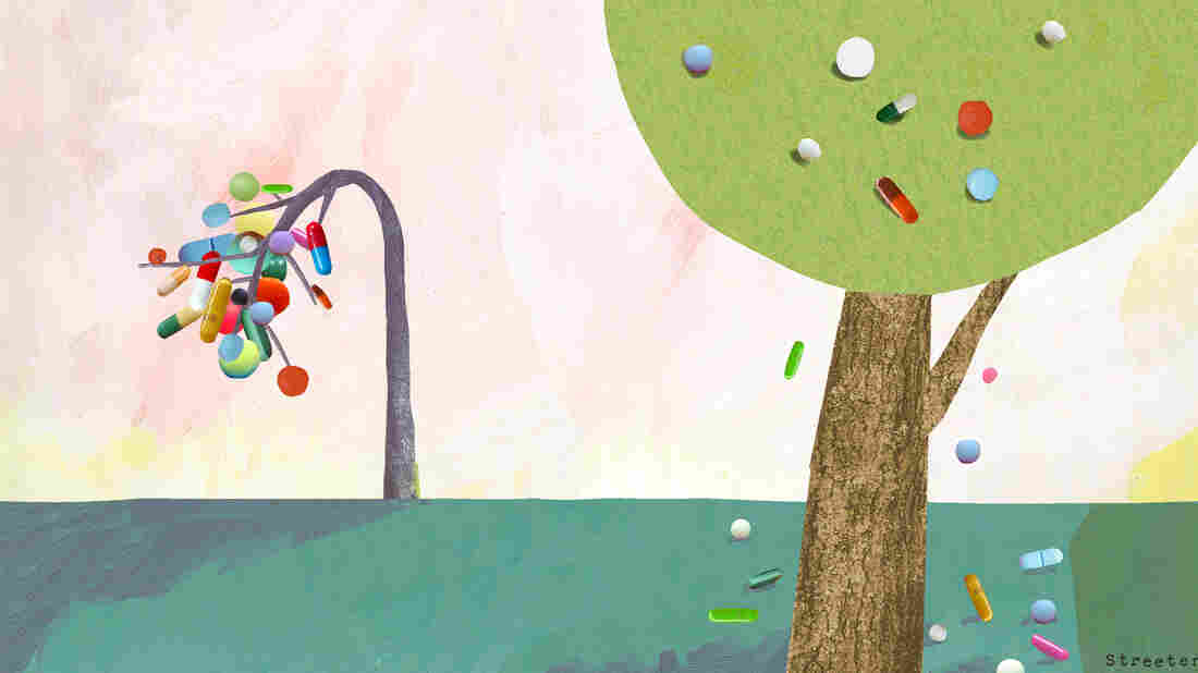 Katherine Streeter for NPR