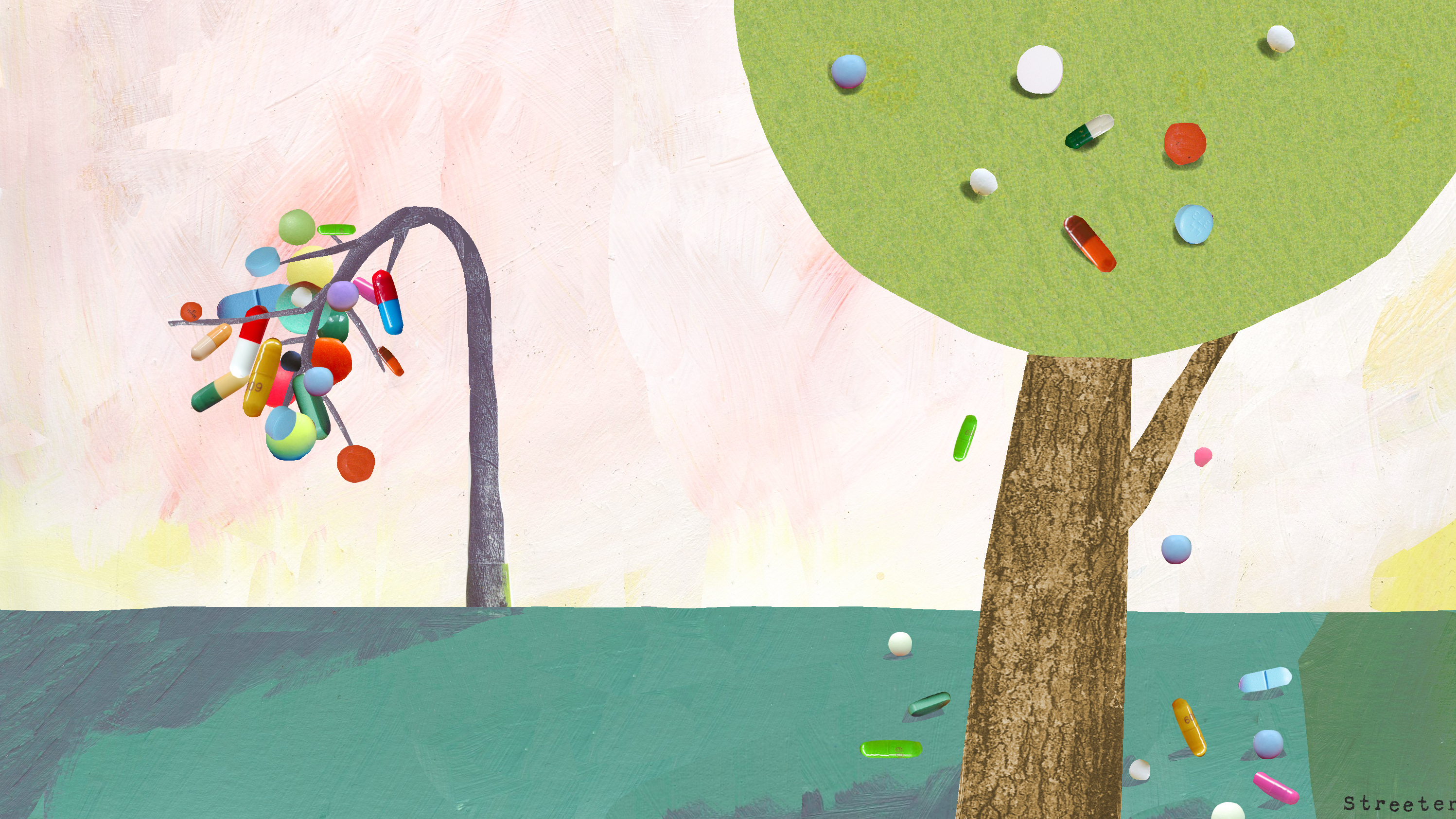  (Katherine Streeter for NPR)