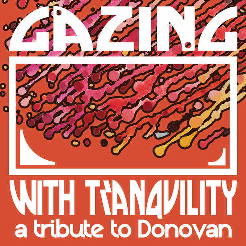 Cover art for Gazing With Tranquility.