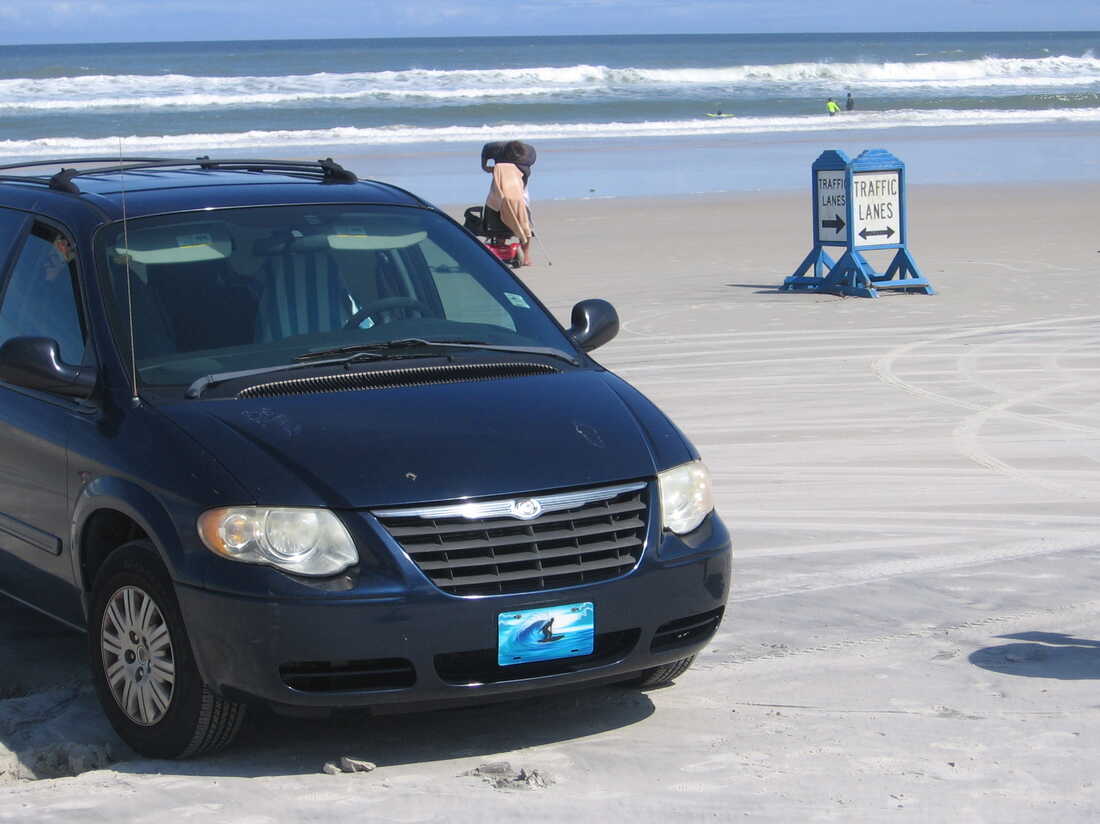 Who 'Owns' The Beach? In Daytona, Cars, Turtles And Hotels Duke It Out