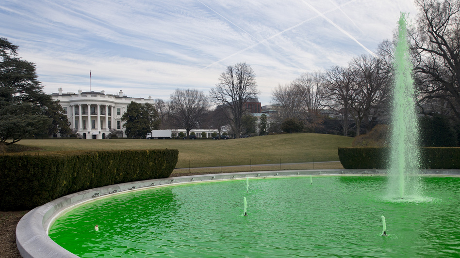 On St. Patrick's Day this year, the fountain on the South Lawn of the White House was dyed green, as a testament to the special relationship shared between Ireland and the U.S. An estimated 50,000 unauthorized Irish are in the U.S. today. (Jacquelyn Martin/AP)