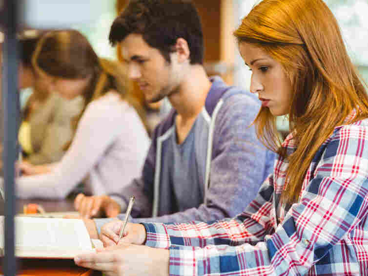 Students studying.