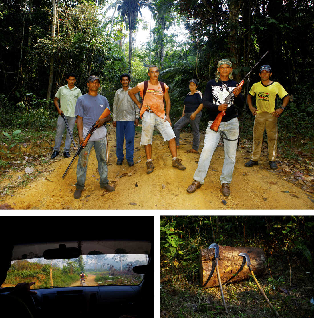 Deforestation of the  rainforest hits nearly three football