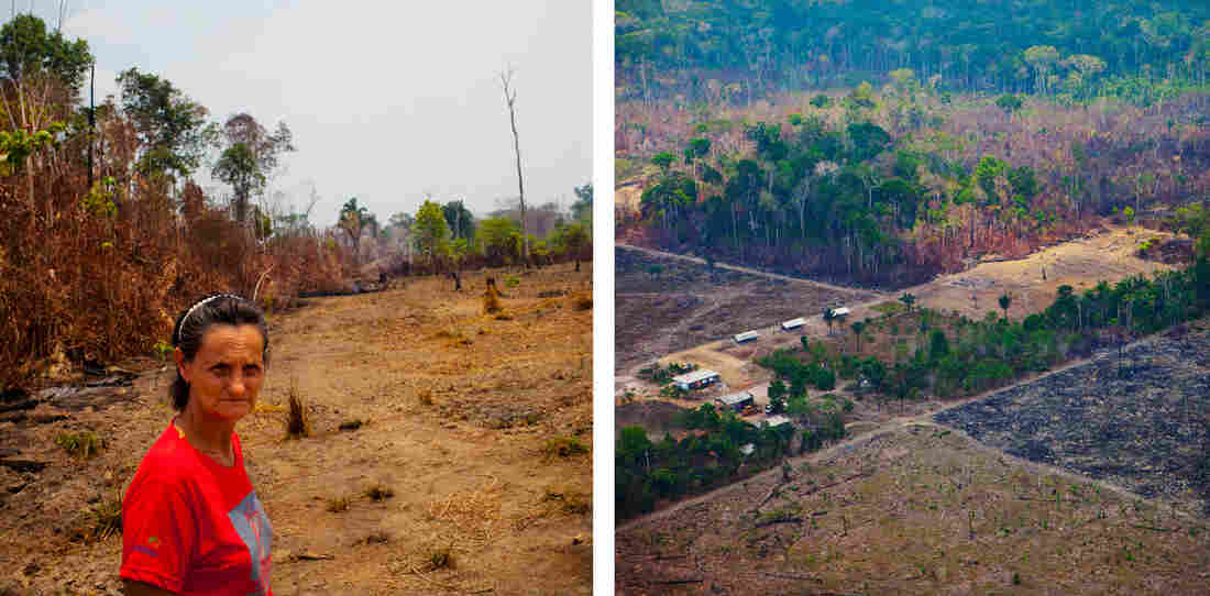 Maria Leonilda Mattara has a small farm on the edge of the forest just outside Porto Vehlo, the capital of the western Brazilian state of Rondonia.