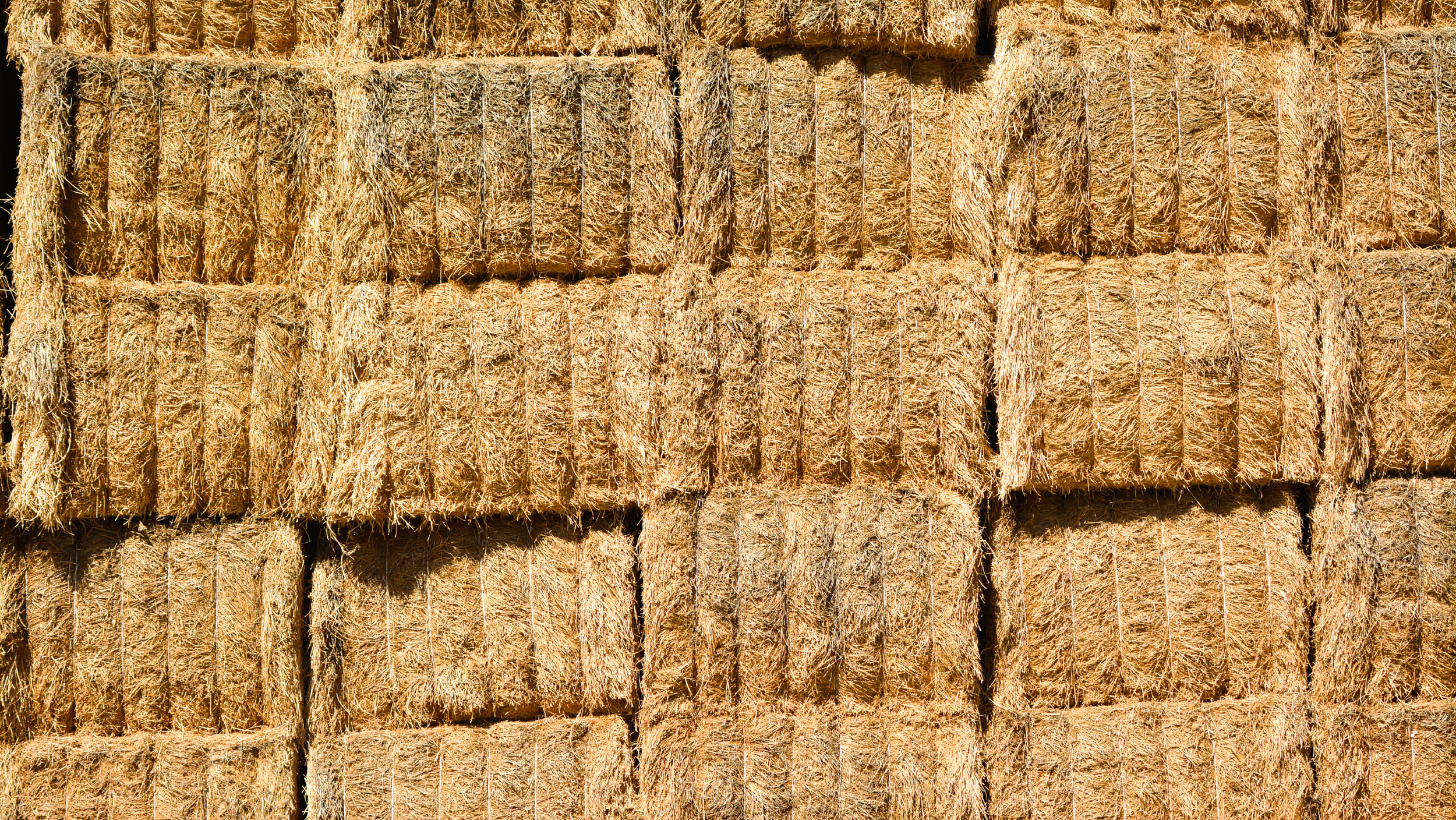 Saudi Hay Farm In Arizona Tests State's Supply Of Groundwater The Salt NPR