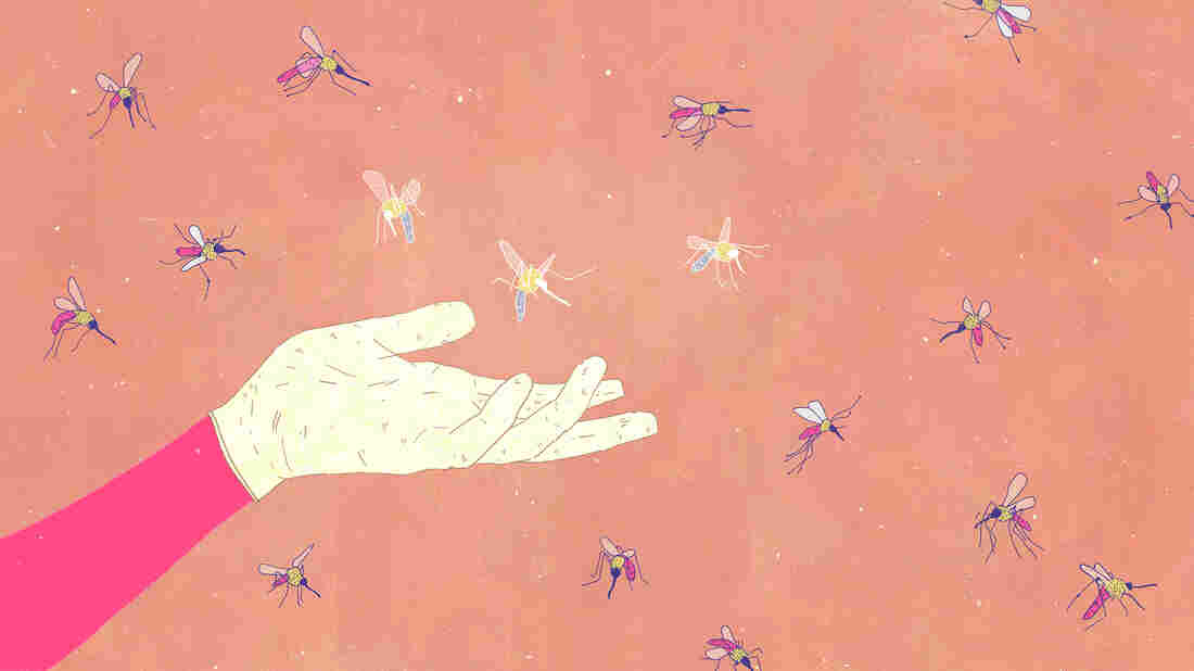 Chris Nickels for NPR