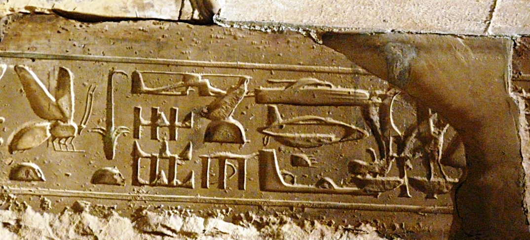 A bee is depicted on an ancient Egyptian hieroglyph.