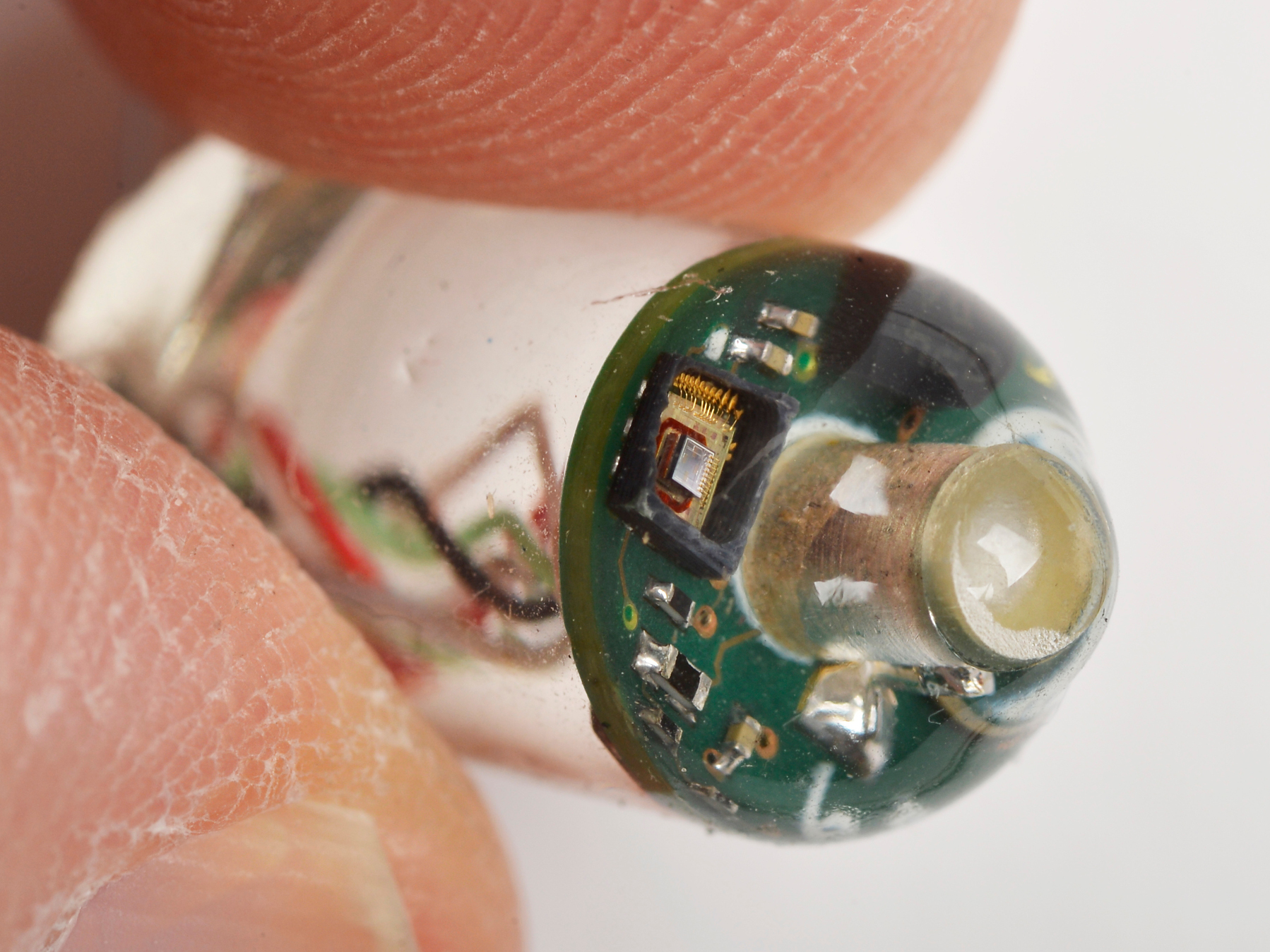A group at MIT built this tiny package of sensors to collect vital signs as it travels through the digestive system. (MIT)