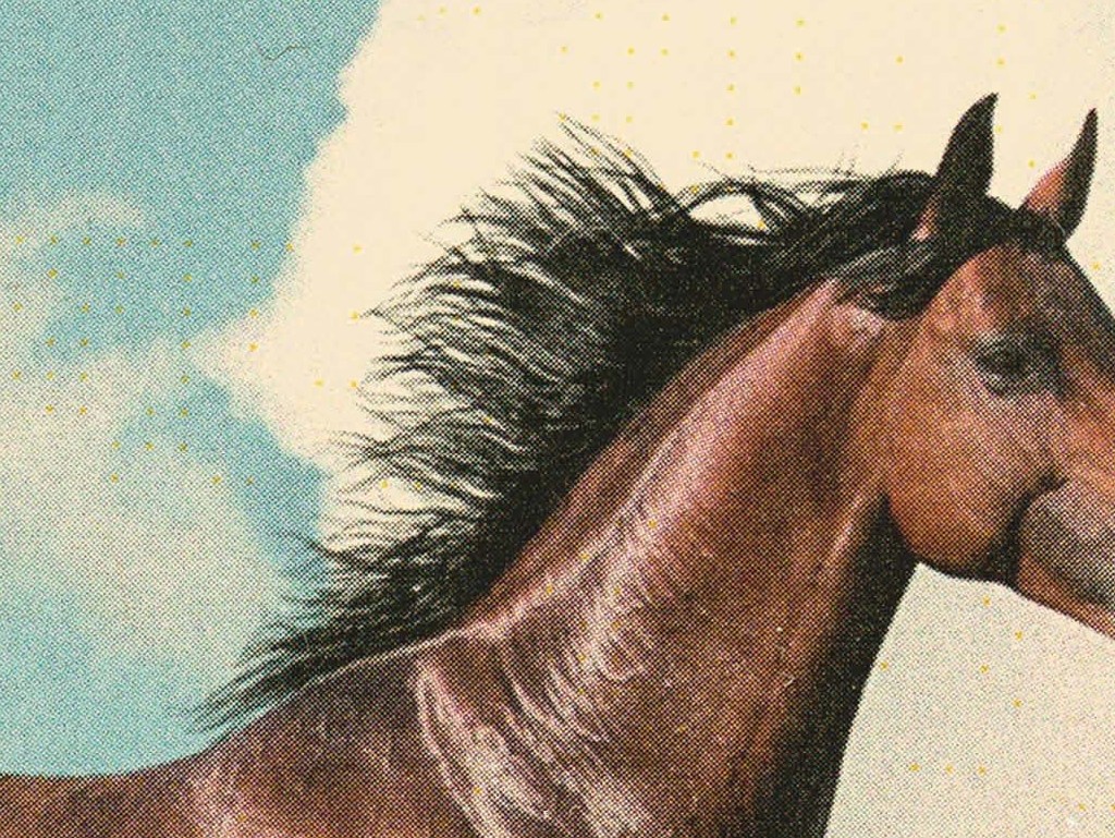 A swirling tale of love, delusion and horses